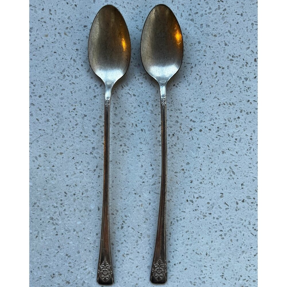 WM Rogers Vintage 1950s Mountain Rose Iced Tea Spoons